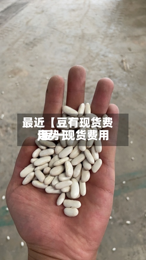 最近【豆有现货费用,豆一现货费用走势】