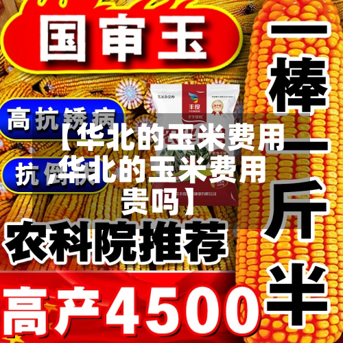 【华北的玉米费用,华北的玉米费用贵吗】-第2张图片