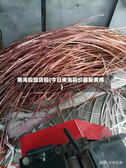 南海铜现货铜(今日南海铜价最新费用)-第2张图片