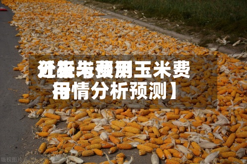 近来【玉米费用分析与预测玉米费用行情分析预测】