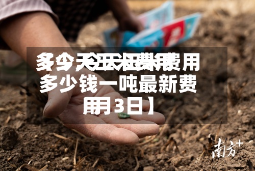 【今天玉米费用多少,今天玉米费用多少钱一吨最新费用卄月3日】