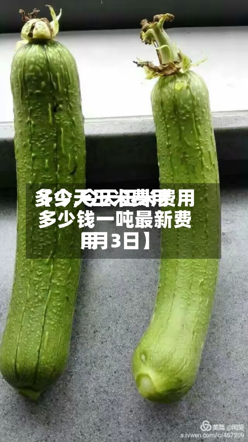 【今天玉米费用多少,今天玉米费用多少钱一吨最新费用卄月3日】-第3张图片