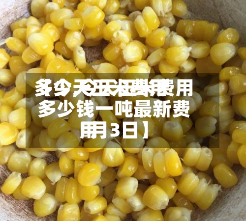【今天玉米费用多少,今天玉米费用多少钱一吨最新费用卄月3日】-第2张图片