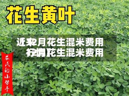 近来
【12月花生混米费用
12月花生混米费用
行情】-第3张图片