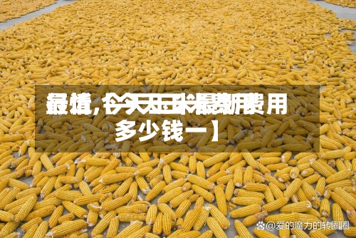 最近【今天玉米费用行情,今天玉米最新费用多少钱一】