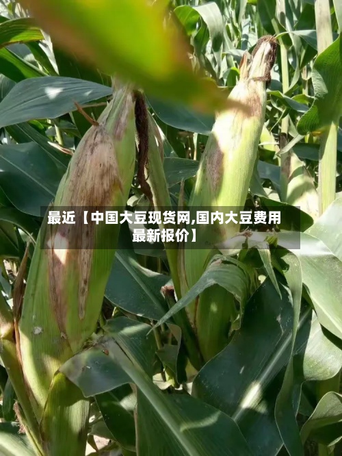 最近【中国大豆现货网,国内大豆费用
最新报价】-第2张图片