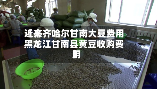近来【齐齐哈尔甘南大豆费用黑龙江甘南县黄豆收购费用】