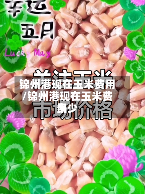 锦州港现在玉米费用/锦州港现在玉米费用多少-第2张图片