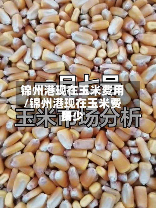 锦州港现在玉米费用/锦州港现在玉米费用多少