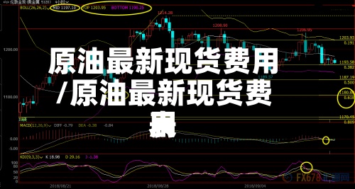 原油最新现货费用/原油最新现货费用表-第3张图片