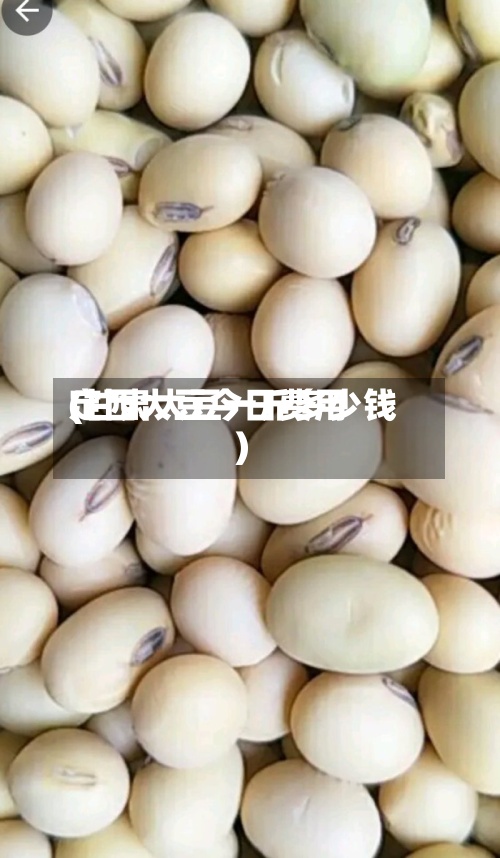 定西大豆今日费用(甘肃大豆一斤多少钱)