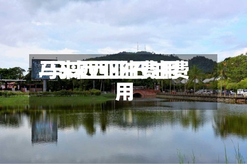 马来西亚油费用/马来西亚石油费用-第2张图片
