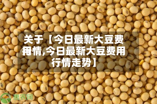 关于【今日最新大豆费用行情,今日最新大豆费用行情走势】