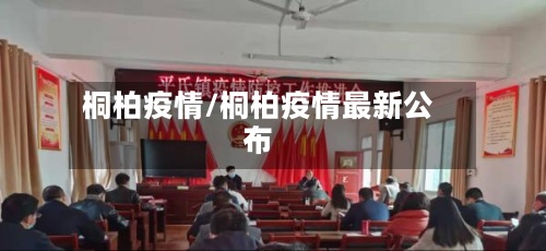 桐柏疫情/桐柏疫情最新公布-第2张图片