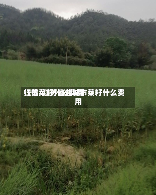 江苏菜籽什么费用行情/江苏省盐城市菜籽什么费用-第2张图片