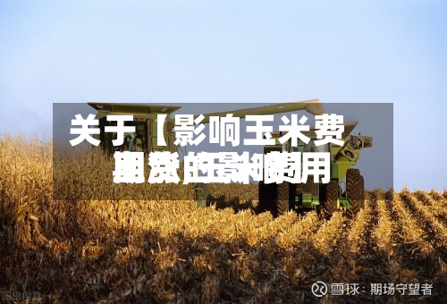 关于【影响玉米费用
期货,玉米费用
上涨的影响】-第2张图片