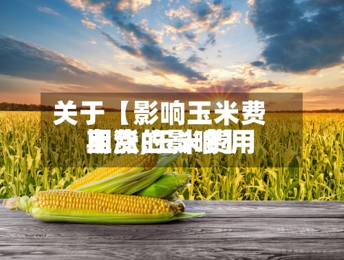 关于【影响玉米费用
期货,玉米费用
上涨的影响】-第3张图片