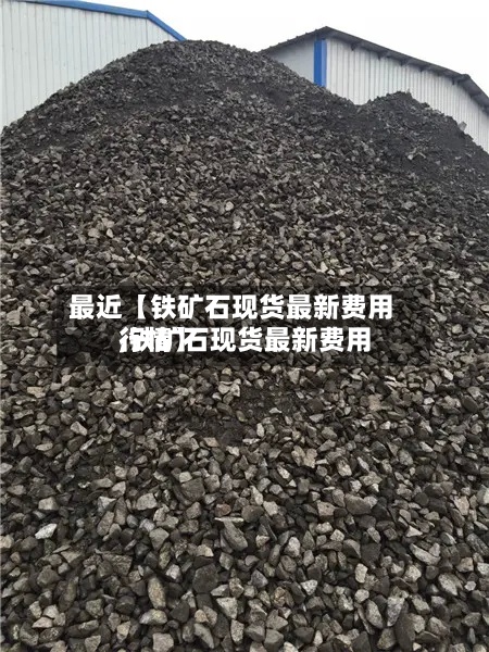 最近【铁矿石现货最新费用,铁矿石现货最新费用行情】
