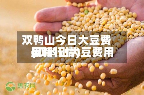 双鸭山今日大豆费用(双鸭山大豆费用最新行情)