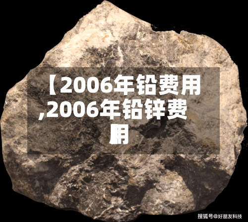 【2006年铅费用,2006年铅锌费用】