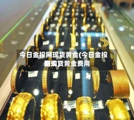 今日金投网现货黄金(今日金投网现货黄金费用查询)