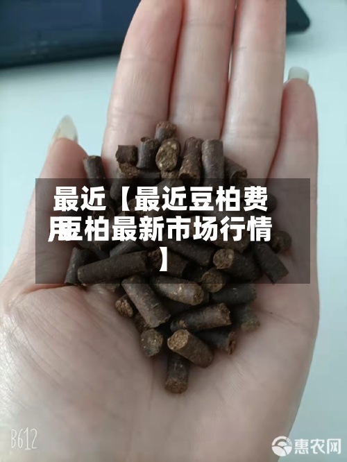 最近【最近豆柏费用,豆柏最新市场行情】-第2张图片