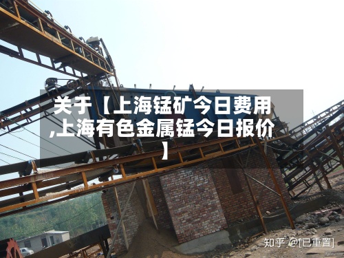 关于【上海锰矿今日费用,上海有色金属锰今日报价】-第3张图片