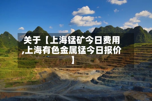 关于【上海锰矿今日费用,上海有色金属锰今日报价】-第2张图片