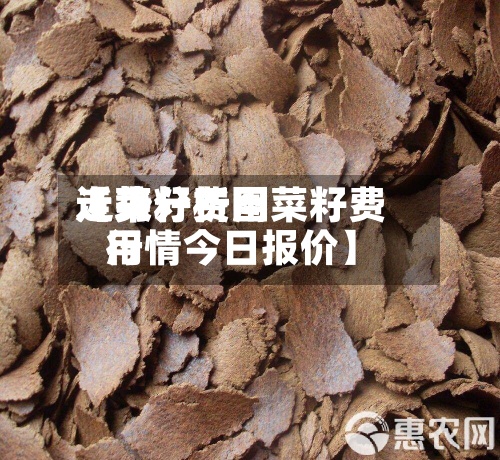 近来【菜籽费用走势分析图菜籽费用行情今日报价】-第2张图片