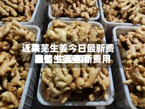 近来【莱芜生姜今日最新费用莱芜生姜费用行情 生姜最新费用表】