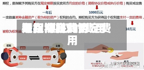 期权协定费用级距/期权的费用是指期权的协定费用-第2张图片