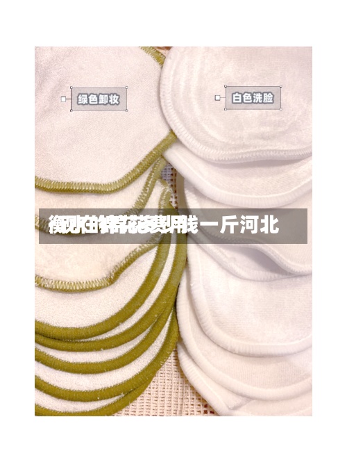 衡水的棉花费用/现在棉花多少钱一斤河北