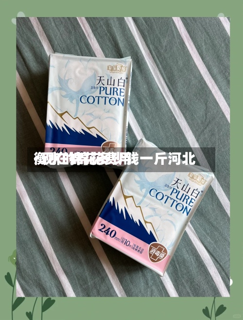 衡水的棉花费用/现在棉花多少钱一斤河北-第3张图片