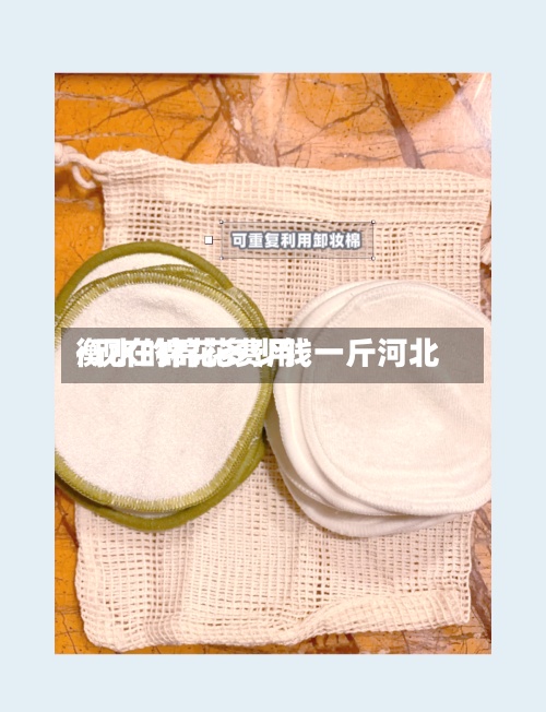衡水的棉花费用/现在棉花多少钱一斤河北-第2张图片