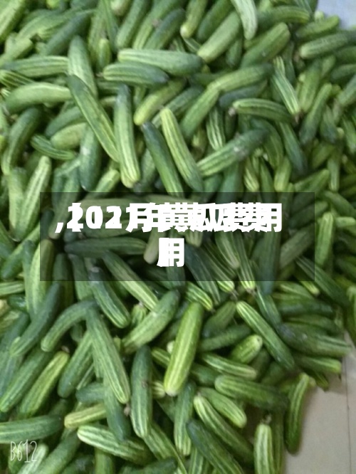 【11月黄瓜费用,2021年黄瓜费用】-第3张图片