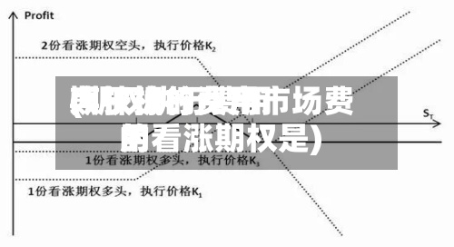 期权执行费用(期权执行费用大于标的资产市场费用的看涨期权是)-第2张图片