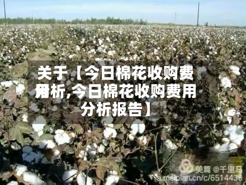 关于【今日棉花收购费用分析,今日棉花收购费用分析报告】-第2张图片