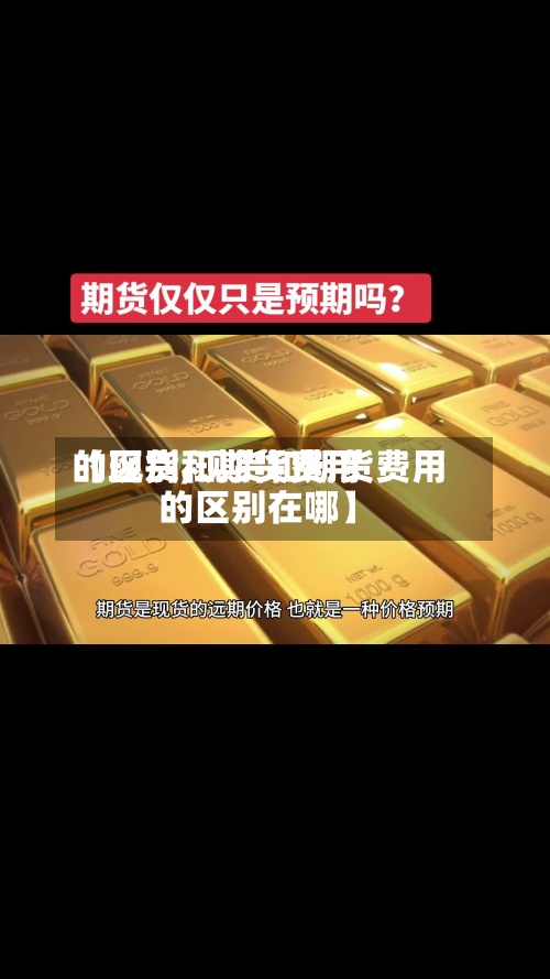 【现货和期货费用的区别,现货和期货费用的区别在哪】-第2张图片