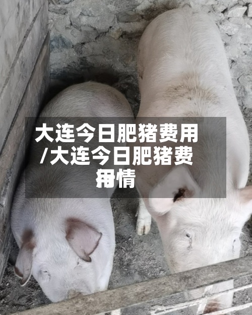 大连今日肥猪费用/大连今日肥猪费用行情-第2张图片