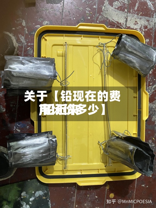 关于【铅现在的费用,铅近来市场价多少】