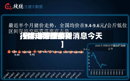 【猪肉期货费用,猪肉期货费用行情走势图最新消息今天】