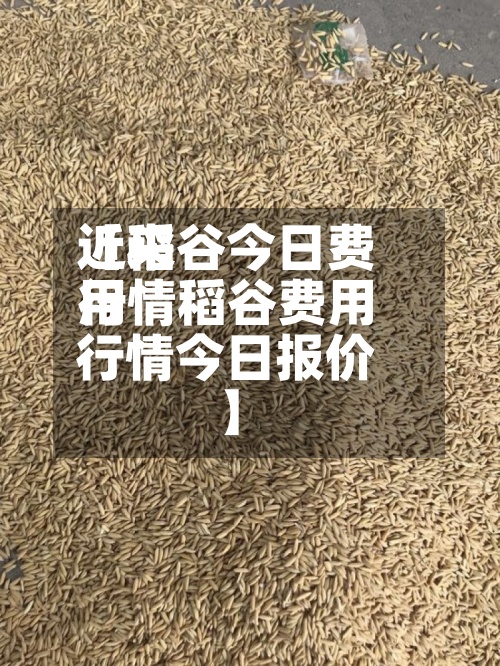 近来【稻谷今日费用行情稻谷费用行情今日报价】-第2张图片
