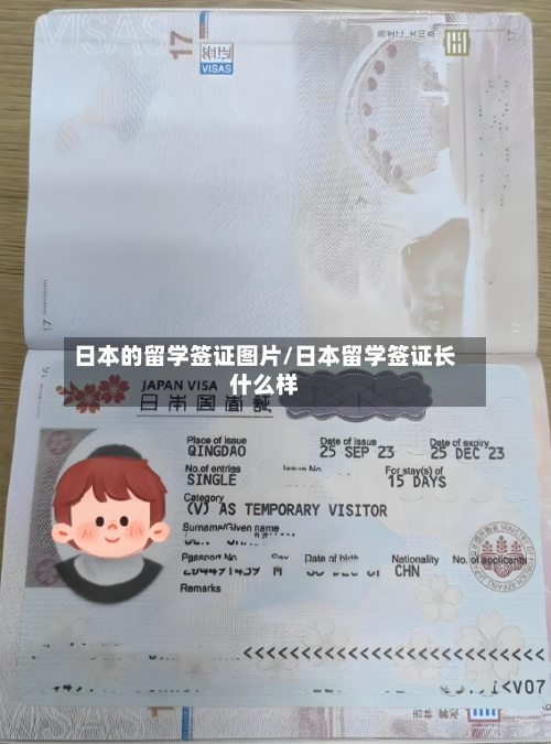 日本的留学签证图片/日本留学签证长什么样-第3张图片