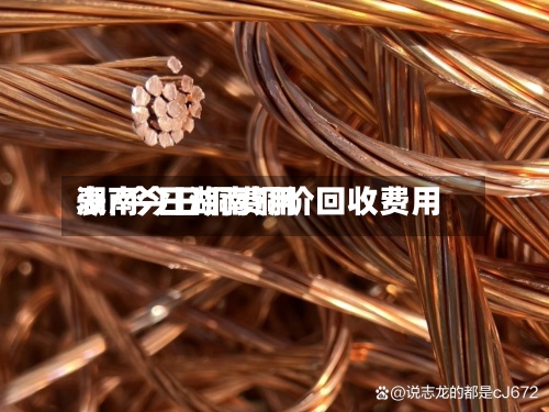 湖南今日铜费用表/今日湖南铜价回收费用-第2张图片