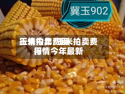 玉米拍卖费用行情今年/玉米拍卖费用行情今年最新-第2张图片