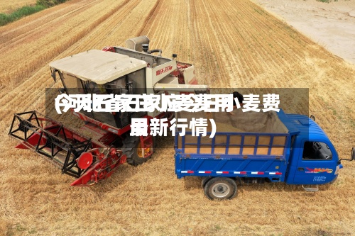 今天石家庄小麦费用(河北省石家庄今日小麦费用最新行情)