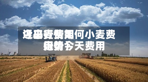 近来
【小麦费用
今日行情如何小麦费用
行情今天费用
走势】-第2张图片