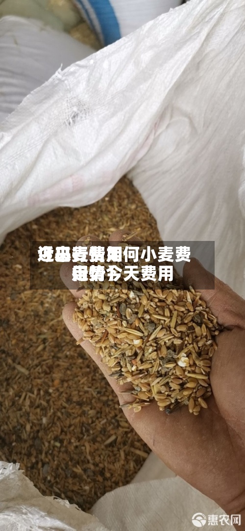 近来
【小麦费用
今日行情如何小麦费用
行情今天费用
走势】-第3张图片