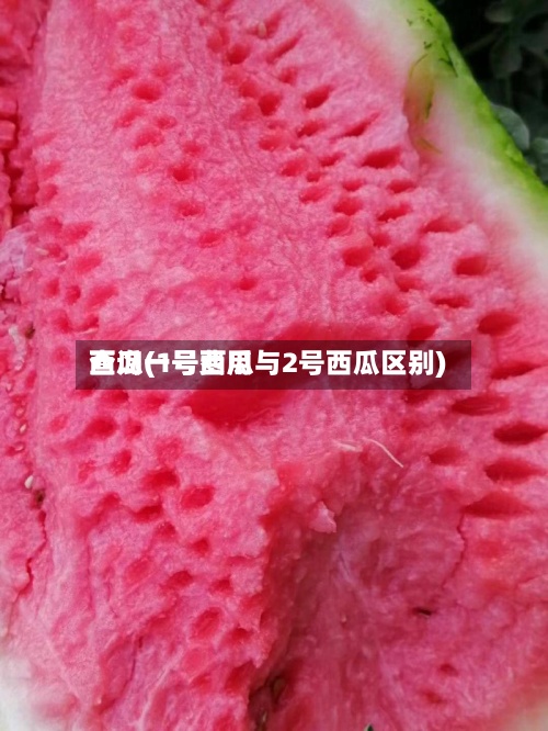 西瓜一号费用查询(1号西瓜与2号西瓜区别)