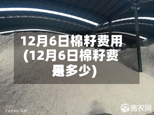 12月6日棉籽费用(12月6日棉籽费用是多少)-第2张图片